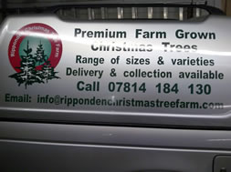 vehicle graphics